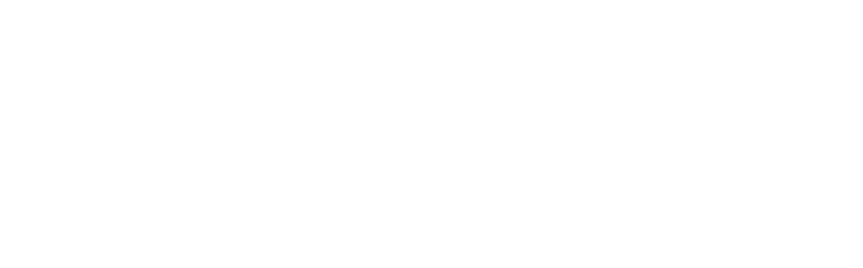 فارس للتخليص الجمركي